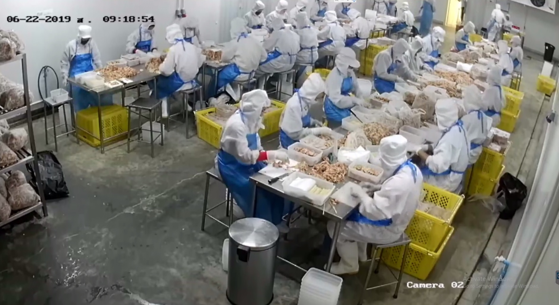 �������ٻ�駹�ʴ