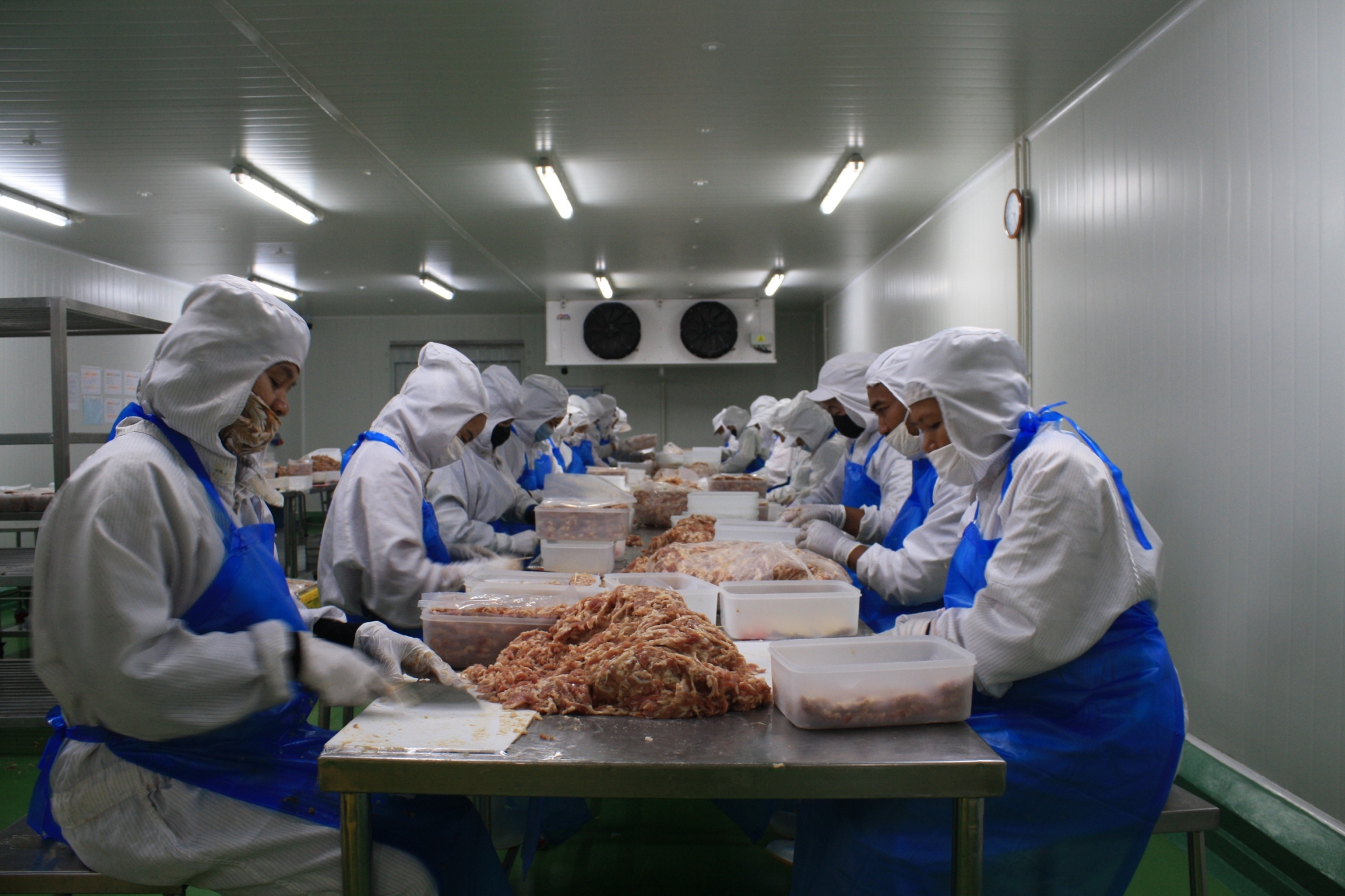 �������ٻ�駹�ʴ