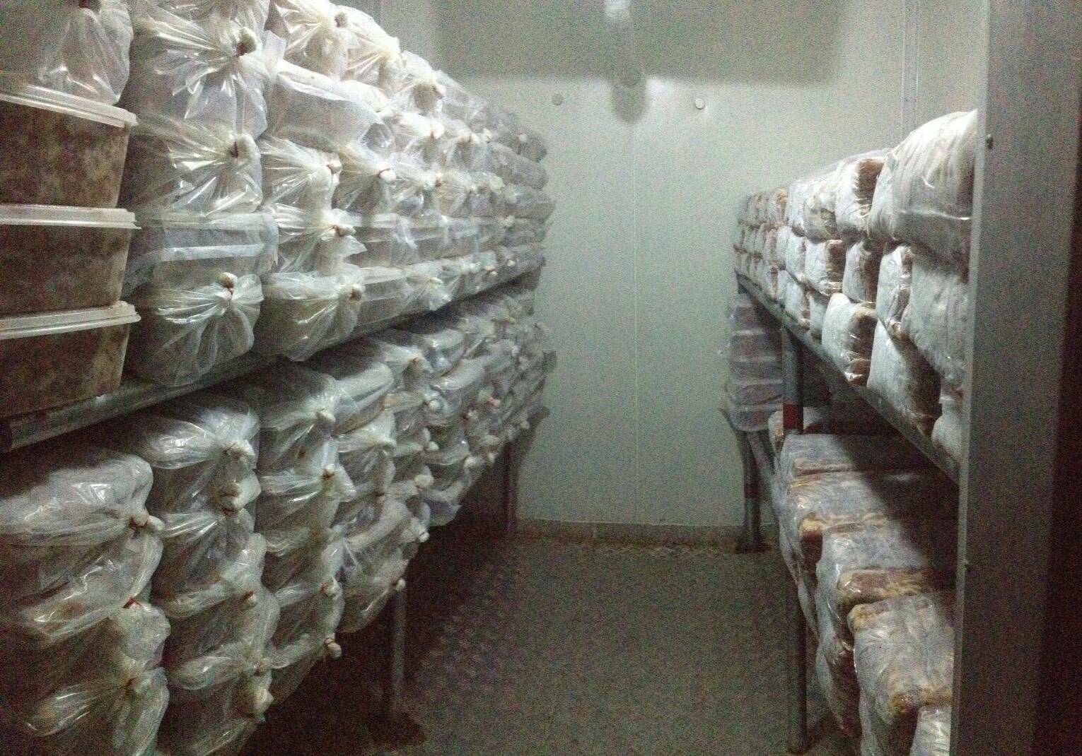 �������ٻ�駹�ʴ